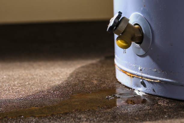 Best Commercial water damage restoration  in Great Falls, MT