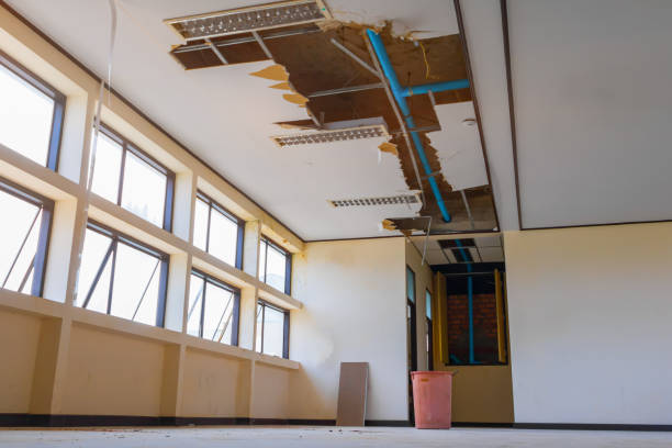 Best Professional water damage repair  in Great Falls, MT