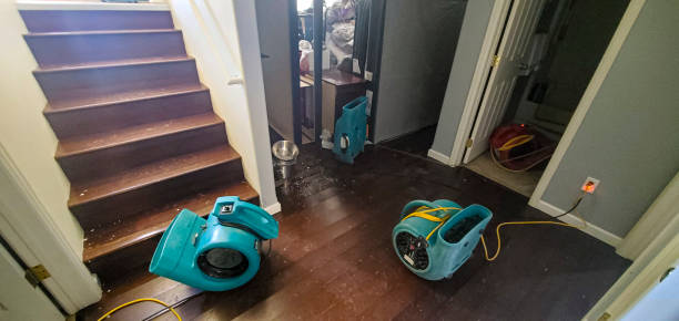 Best 24-hour water damage restoration  in Great Falls, MT