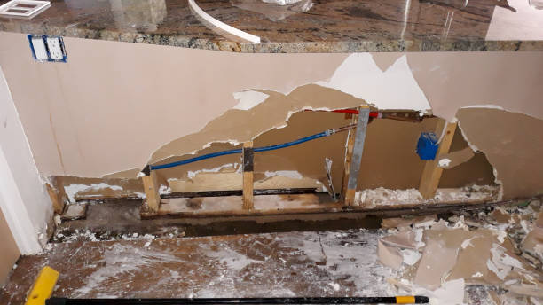 Best Water damage restoration near me  in Great Falls, MT