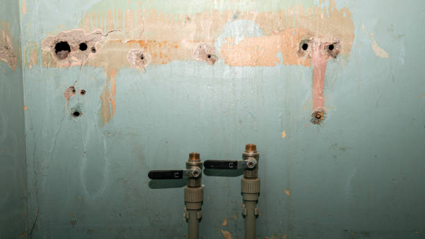 Best Ceiling water damage repair  in Great Falls, MT