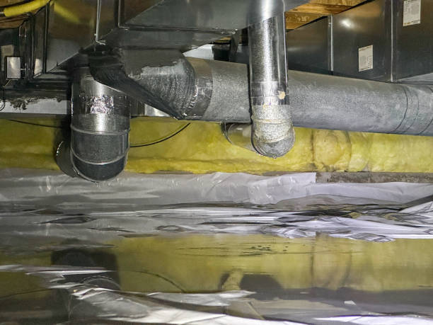 Best Mold removal after water damage  in Great Falls, MT