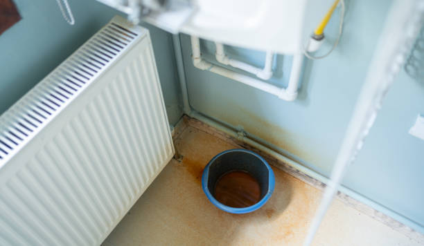  Great Falls, MT Water damage restoration Pros