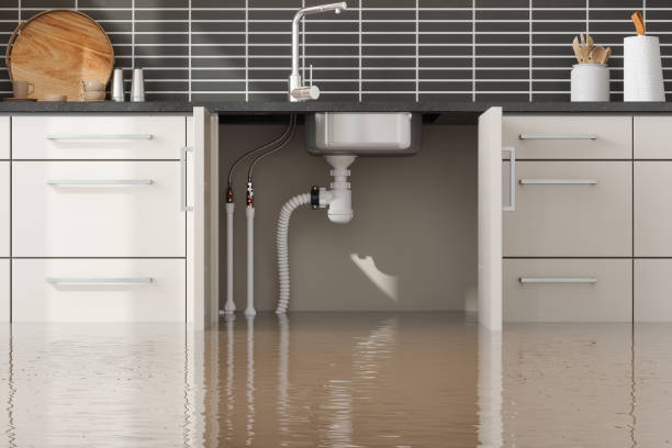 Best 24-hour water damage restoration  in Great Falls, MT